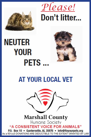 Vet