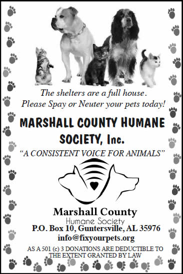 Animals